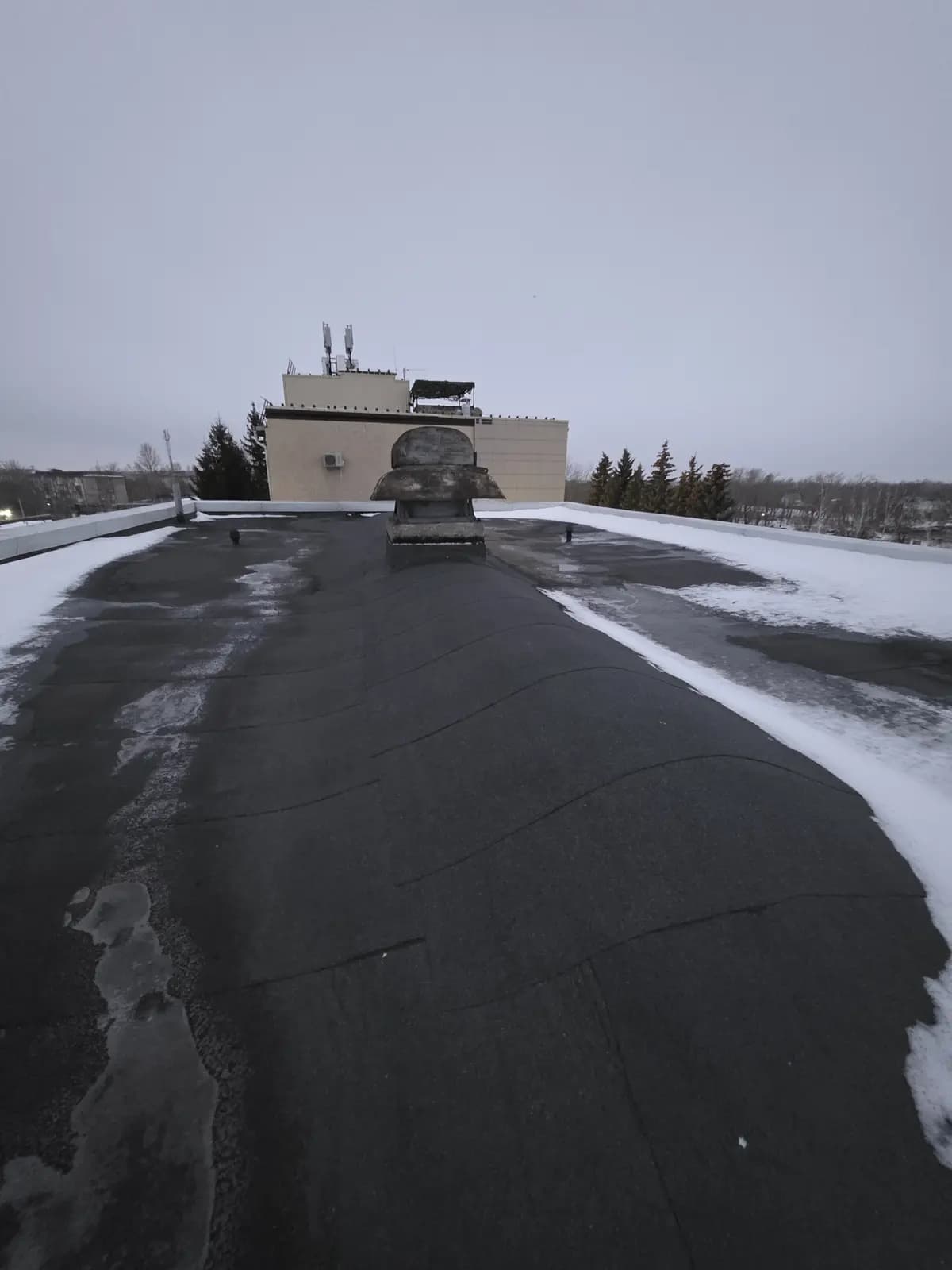 Кровля корпуса до вскрытия: старое рулонное покрытие